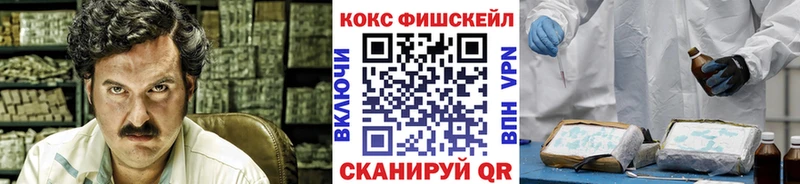 КОКАИН FishScale  Купить где  Владикавказ 