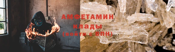 ГАЛЛЮЦИНОГЕННЫЕ ГРИБЫ Кулебаки