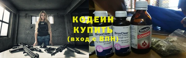 мдпв Ладушкин