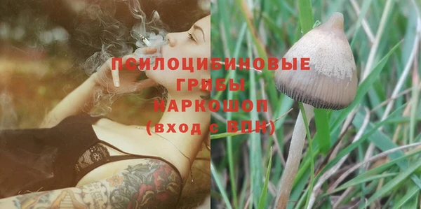 гидропоника Кукмор