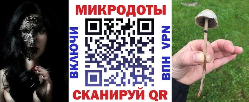 Купить где  Владикавказ  Псилоцибиновые грибы Cubensis 